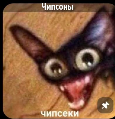 Чипсоны
чипсекки