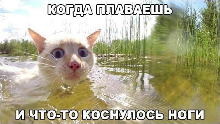 и что т_63_к снщлэсь ноги