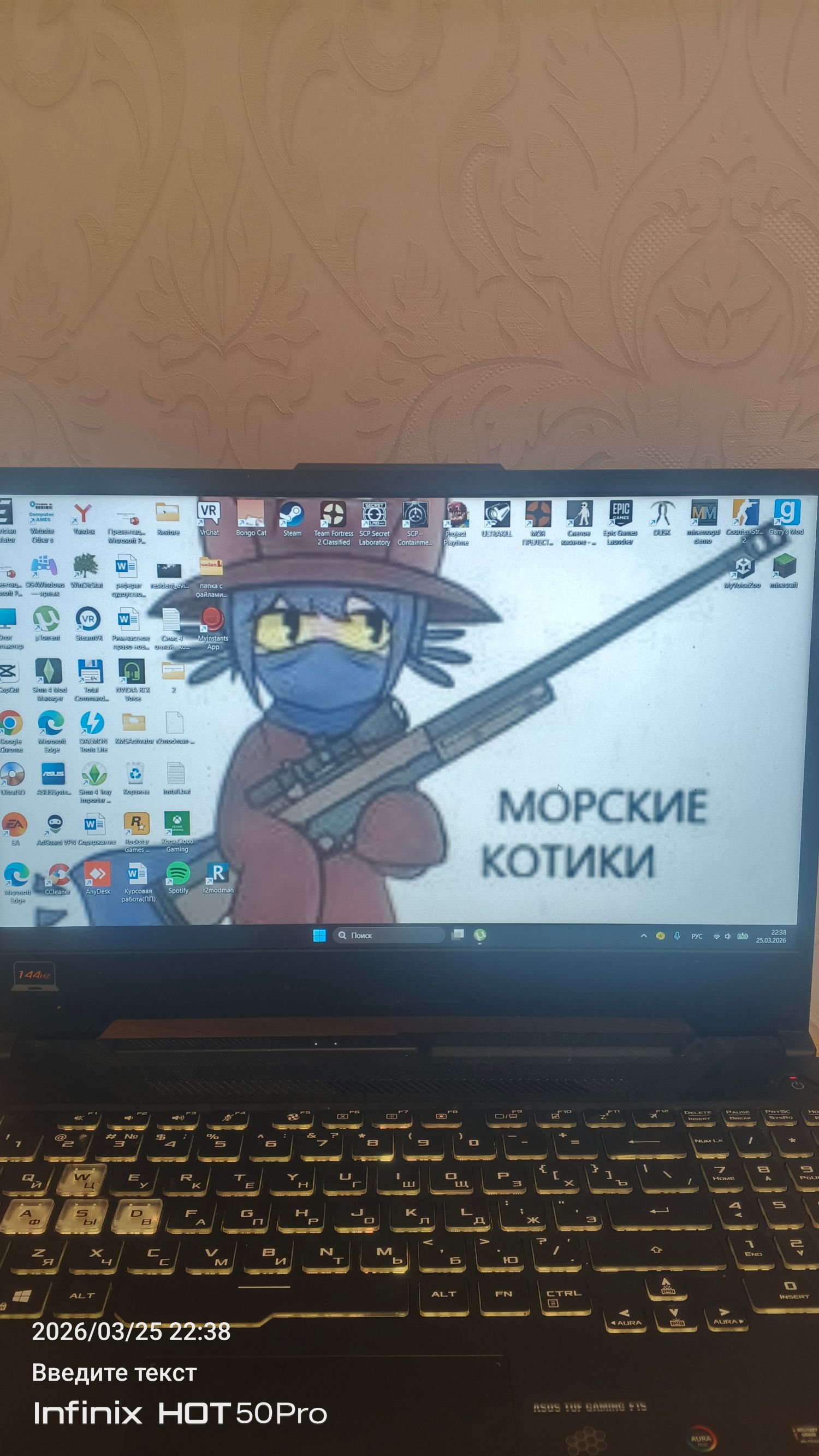 МОРСКИЕ КОТИКИ