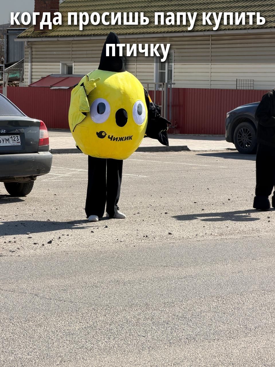 когда просишь папу купить птичку ЧИЖИК