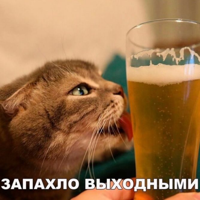 3АПАХЛОЦН Ы