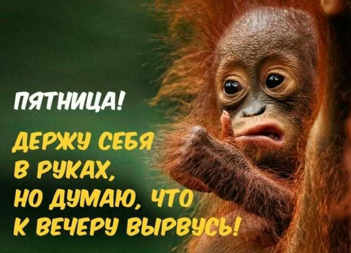 держу с в рукдх но думдю что к вечеру вырвЖтё