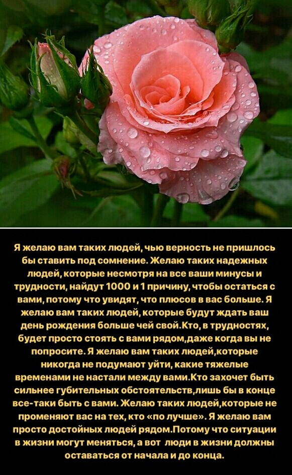 Яжелаю вам таких людей чью верность не пришлось бы ставить под сомнение Желаю таких надежных людей которые несмотря на все ваши минусы и трудности найдут 1000 и 1 причину чтобы остаться с вами потому что увидят что плюсов в вас больше Я желаю вам таких людей которые будут ждать ваш день рождения больше чей свойКто в трудностях будет просто стоять с вами рядомдаже когда вы не попросите Я желаю вам 