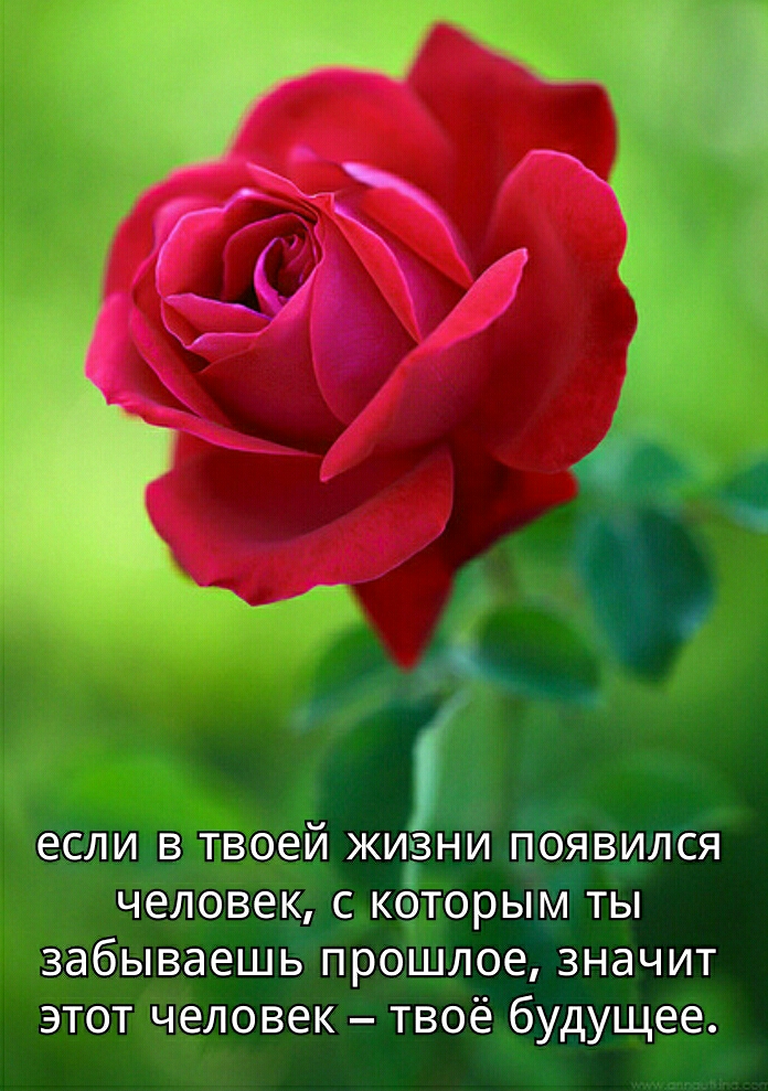ебли в твоей жизни Ёбявижя человек с каторый ты забываешь проШлое значит этот человек твоё будущее