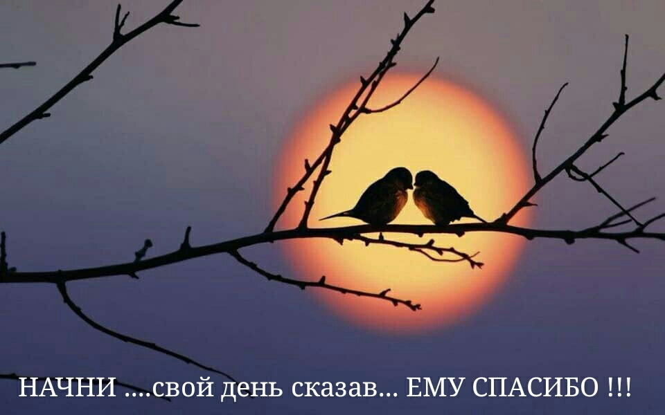 012 ь сказав ЕМУ СПАСИБО