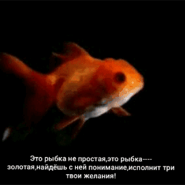 эммм пмы_твыви интим в имм ши инициацию