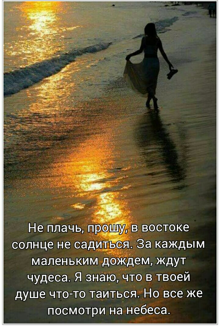 Не пддч рощв остоке солнце не Сади тьея За каждым маленьким д ждем ждут чудеса Я знаючто в твоей душе что то таиться Но все же посмотри на небеса