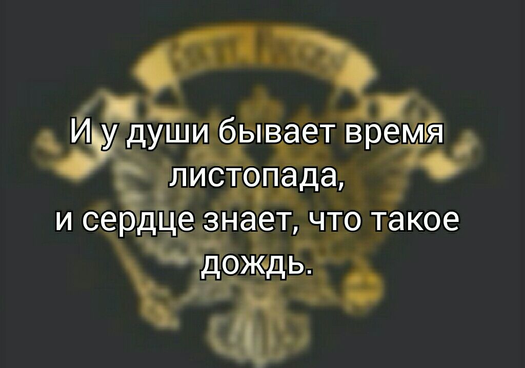 ЕМЯ _ЁЁТ Вр шитбыв ИСТ И мёда т что такое знаіе С Ь д от жёд