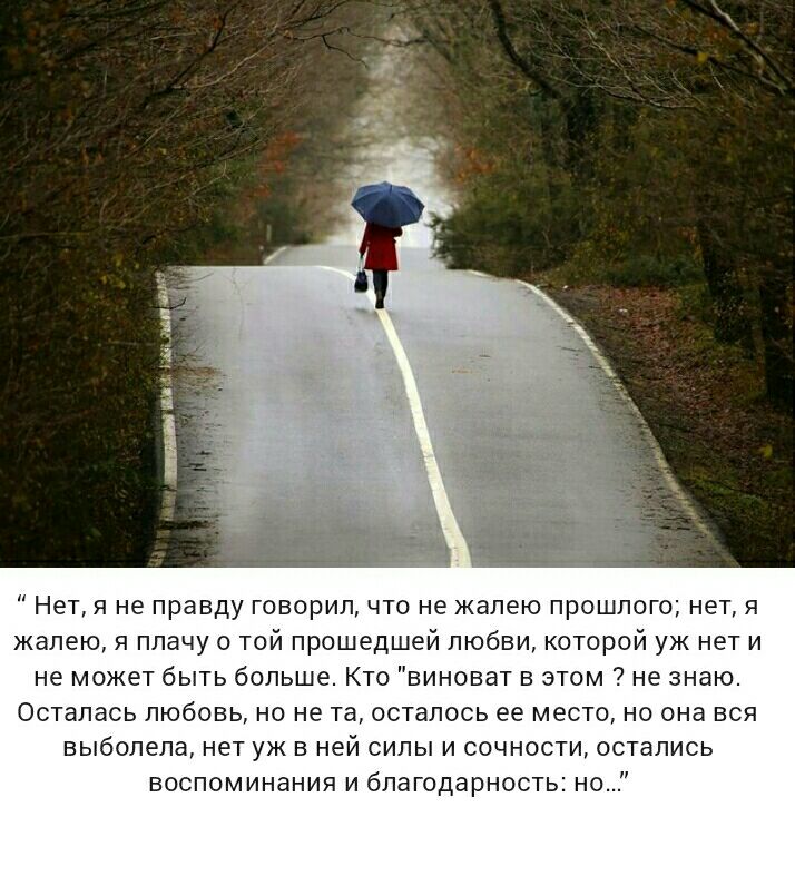 Нет я не правду говорил что не жалею прошлого нетя жалею я плачу о той прошедшей любви которой уж нет и не может быть больше Кто виноват в этом не знаю Осталась любовь но не та осталось ее место но она вся выболела нет уж в ней силы и сочности остались воспоминания и благодарность но