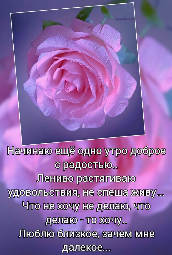 далекое