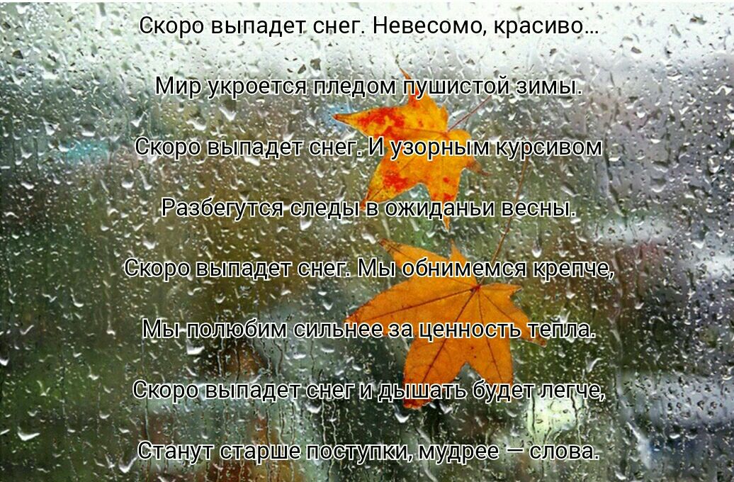 д