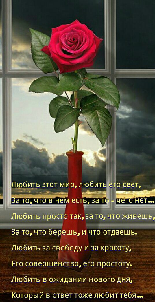 __обить этот мирлюбит д 3 ТО ЧТО В нем ЕСТЬ 33 Т ить пр то так за то чт ИЁЁШЬ За то что берешь и что отдаешь Любить за свободу и за красоту Его совершенство его простоту Любить в ожидании нового дня Который в ответ тоже любит тебя