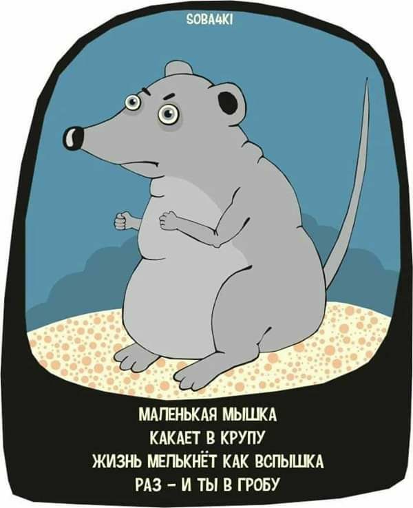 МАПЕНЬКАЯ ШШШ КАКАЕТ В КРУПУ ЖИЗНЬ БЕПЬКНЁТ КАК ВОПЬШКА РАЗ И ТЫ В ГРОБУ