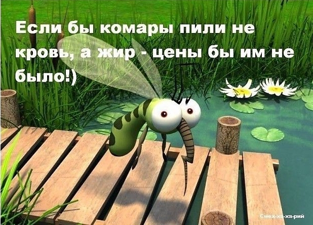 Если 6 комары пили не