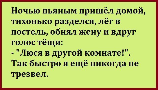 Ночью пьяным пришёл домой тихонько разделся лёг в постель обнял жену и вдруг голос тёщи Люся в другой комнате Так быстро я ещё никогда не трезвел