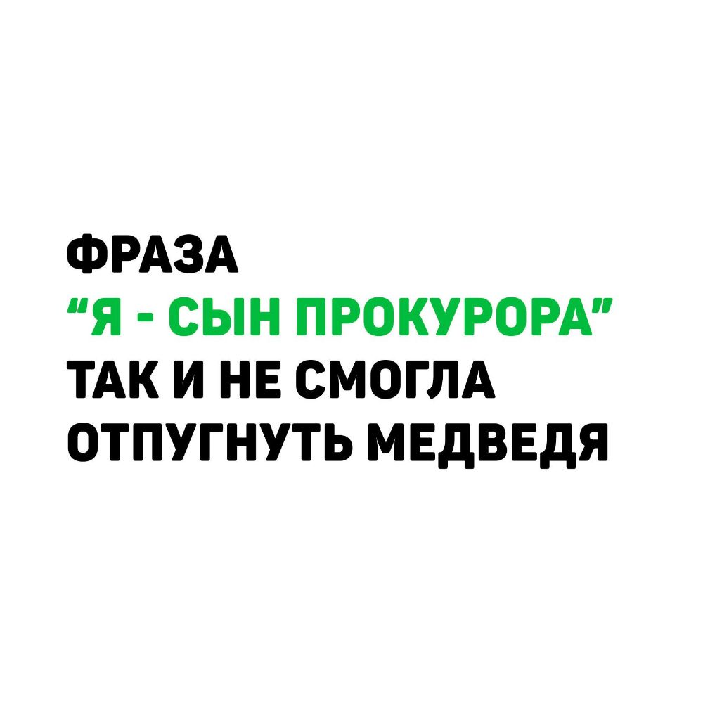 ФРАЗА Я СЫН ПРОКУРОРА ТАК И НЕ СМОГЛА ОТПУГНУТЬ МЕДВЕДЯ
