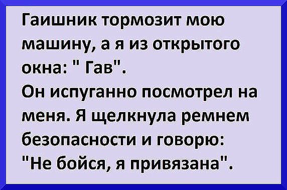 Гаишник тормозит мою машину а я из открытого окна Гав Он испуганно посмотрел на меня Я щелкнула ремнем безопасности и говорю Не бойся я привязана