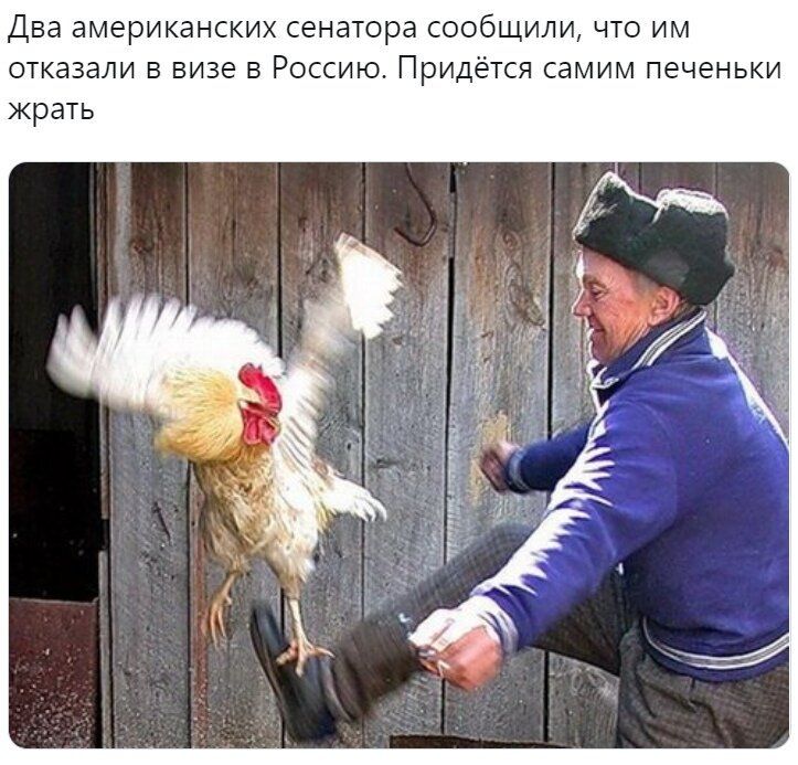 Два американских сенатора сообщили что им отказали в визе в Россию Придётся самим печеньки жрать