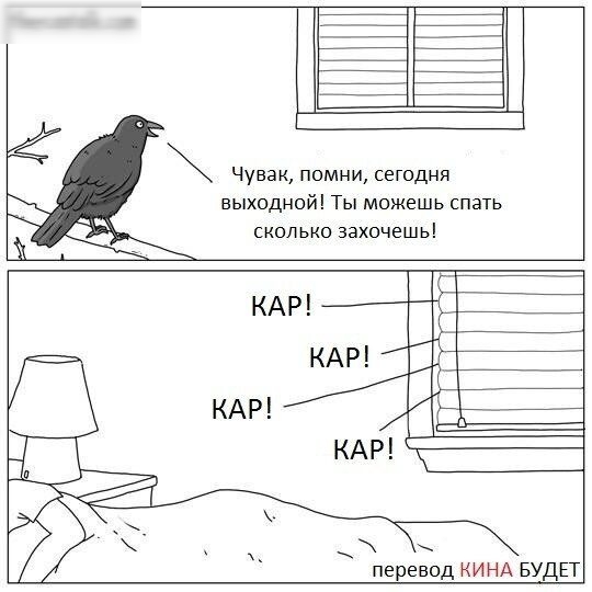 Чувак помни сегодня выходной Ты можешь спать сколько захочешь КАР КАР Ё7 КАР АР перевод КИ НА БУДЕТ
