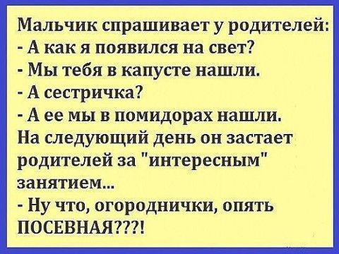 Мальчик спрашивает у родителей А как я появился на свет Мы тебя в капусте нашли А сестричка А ее мы в помидорах нашли На следующий день он застает родителей за интересным занятием Ну что огороднички опять ПОСЕВНАЯ