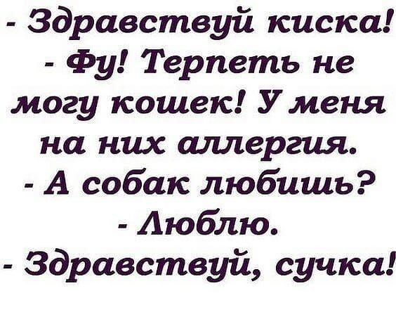 Здравствуй киска Фу Терпеть не могу кошек У меня на них аллергия А собак любишь Аюблю Здравствуй сучка