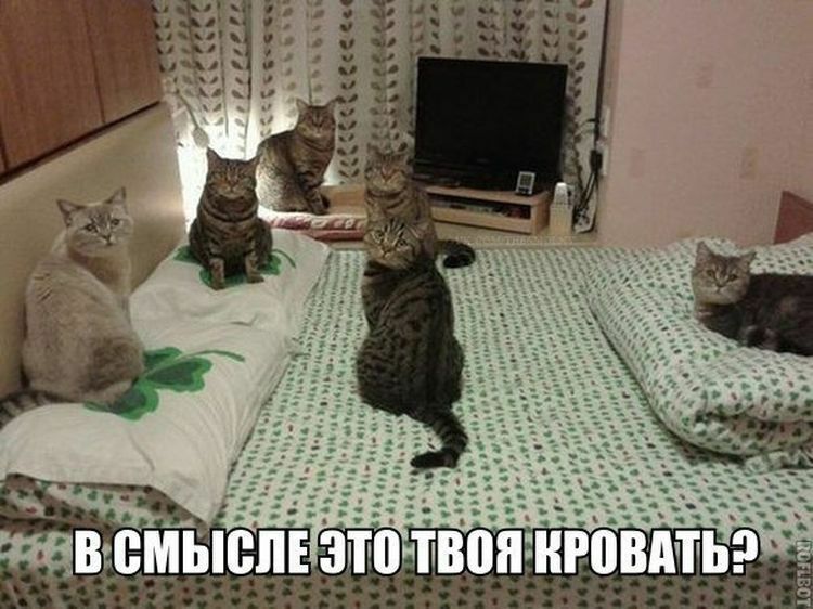 ьиЁЕ билі тп л ь