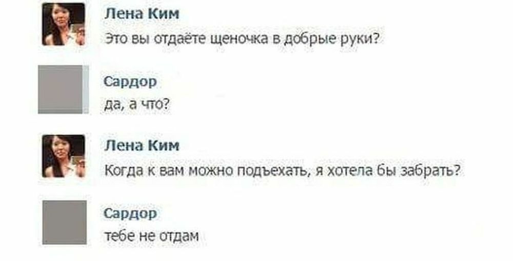 Лена Ким Это вы отдаёте щеночка вдобрые руки ЙРДОР да а что Лена Ким Когда к вам можно подъехать я хотела бы забрать Сардар тебе не отдам