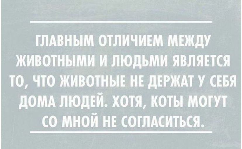 ГЛАВНЫМ ОТЛИЧИЕМ МЕЖДУ ЖИВОТНЫМИ И ЛЮДЬМИ ЯВЛЯЕТСЯ ТО ЧТО ЖИВОТНЫЕ НЕ дЕРЖАТ У СЕБЯ дОМА ЛЮДЕЙ ХОТЯ КОТЫ МОГУТ СО МНОЙ НЕ СОГЛАСИТЬСЯ