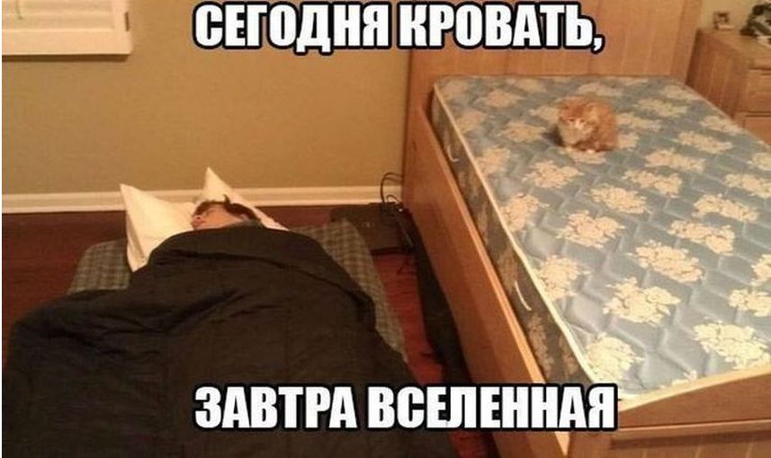 здвтгд вешннпн