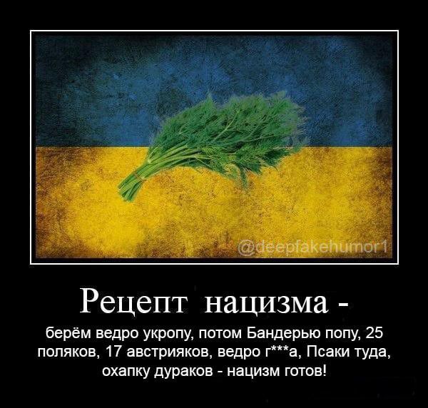 Рецепт нацизма берём ведро укропу потом Бандерью попу 25 поляков 17 австрияков ведра га Псаки туда охапку дураков нацизм готов