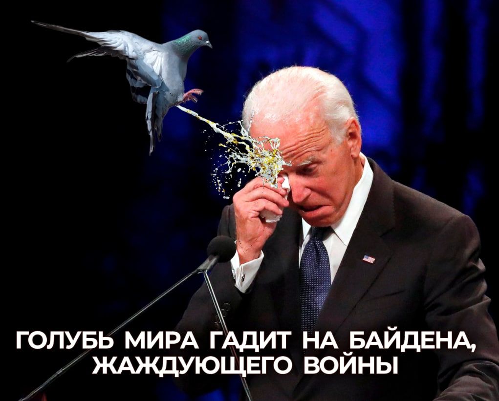 ГОЛУБЬ МИРА ГАДИТ НА БАЙДЕНА ЖАЖДУЮЩЕГО ВОЙНЫ