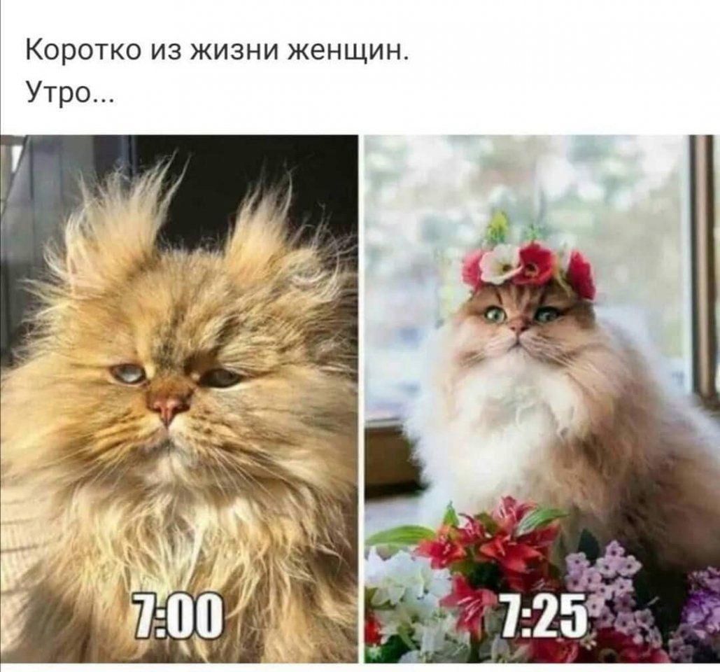 Коротко из жизни женщин Утро