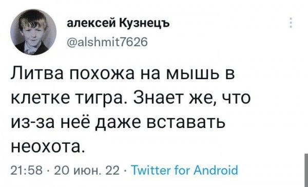 алексей Куэнецъ а15Ьті17626 ЛИТВЗ ПОХОЖЕ НЗ МЫШЬ В клетке тигра Знает же ЧТО изза неё даже вставать НЕОХОТЗ 2158 А 20 июн 22 Тштег гоу Апфоіа