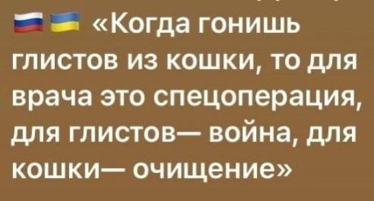 Ч 8 Когда гонишь глистов из кошки то для врача это спецоперация для глистов война для кошки очищение