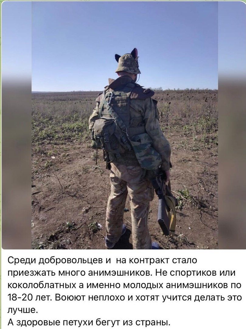 Среди добровольцев и на контракт стало ПРИЕЗЖЗТЬ МНОГО ЗНИМЗШНИКОВ Не СПОРТИКОВ ИЛИ кокппобпатных а ИМЕННО МОЛОДЫХ ЭНИМЗШНИКОВ ПО 1820 пет Воюют неплохо и хотят учится делать это лучше А здоровые петухи бегут из страны