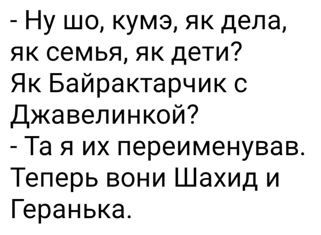 Ну шо кумэ як дела як семья як дети Як Байрактарчик с Джавелинкой Та я их переименував Теперь вони Шахид и Геранька