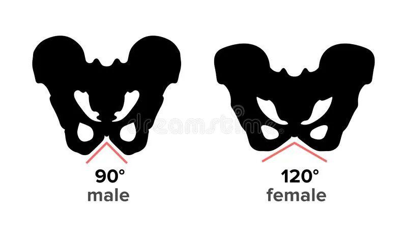 90 120 таіе етаіе