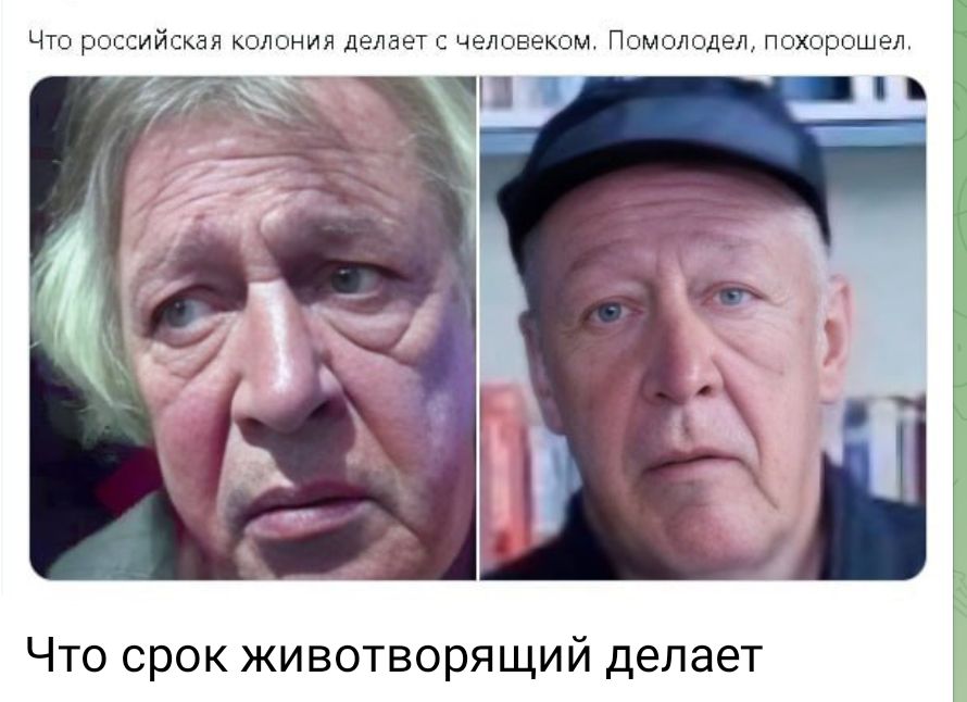 Что срок животворящий делает