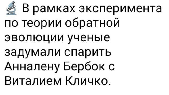 В рамках эксперимента по теории обратной эволюции ученые задумали спарить Анналену Бербок с Виталием Кличко