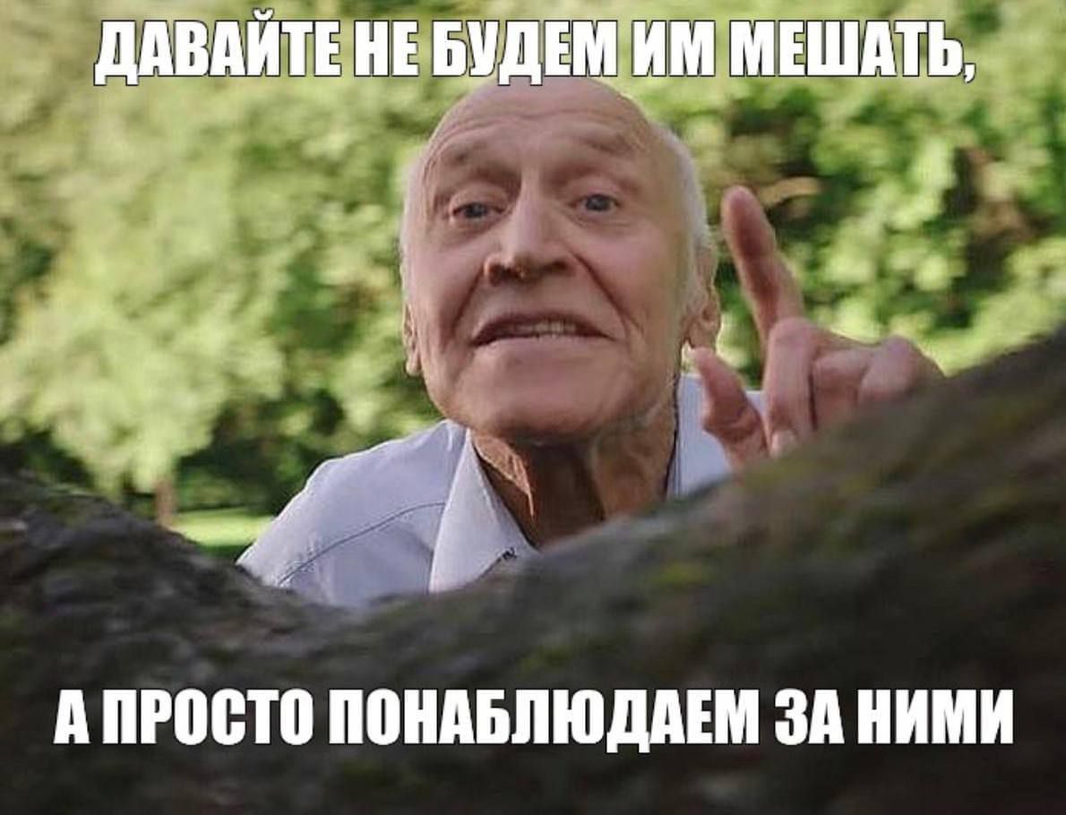 д ШШШ поимшюддш ЗП НИМИ