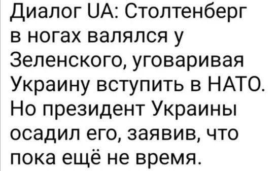 Диалог ЦА Столтенберг в ногах валялся у Зеленского уговаривая Украину вступить в НАТО Но президент Украины осадил его заявив что пока ещё не время