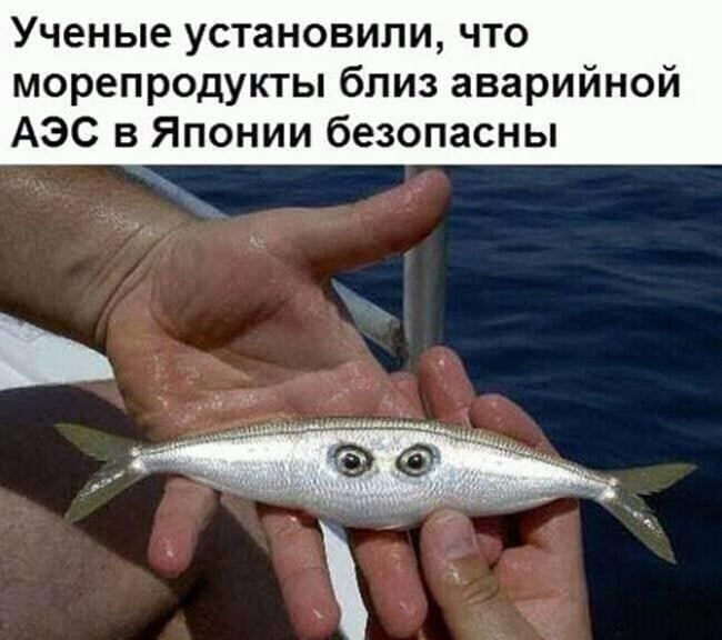 Ученые установили что морепродукты близ аварийной АЭС в Японии безопасны