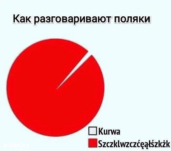 Как разговаривают ПОЛЯ КИ Ш Кита 52с1к1шс1сеаё1кй