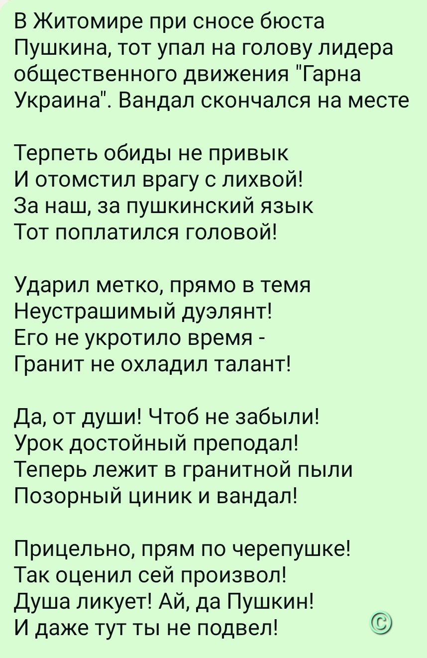 В Житомире при сносе бьюста Пушкина, тот упал на голову лидера общественного движения 