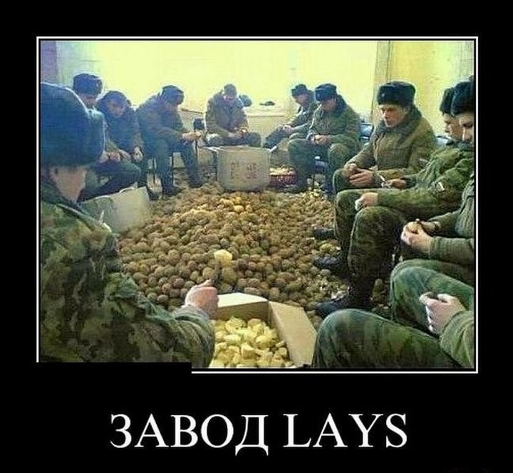 ЗАВОД ЬАУБ