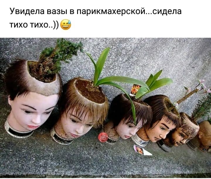 Увидела ВЗЗЫ В парикмахерскойсидела тихо тихо