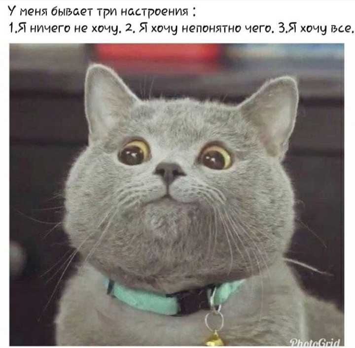У меня бывает три настроения 1Я ничего не хочу 2 Я хочч непонятно чего 35 хочу все