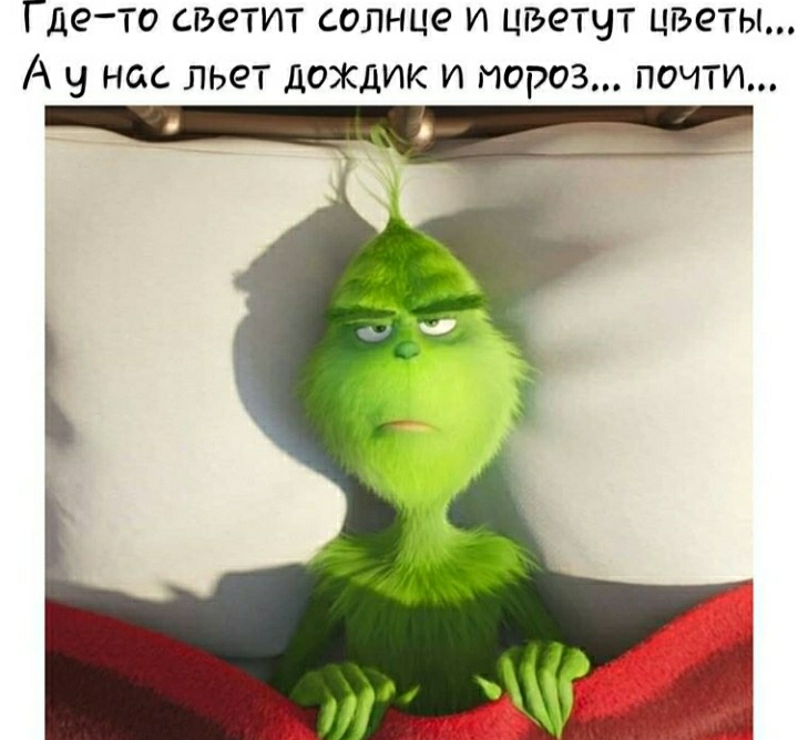 Где то светит солнце и цгэетчт цветы А у нас льет дожцик и мороз почти