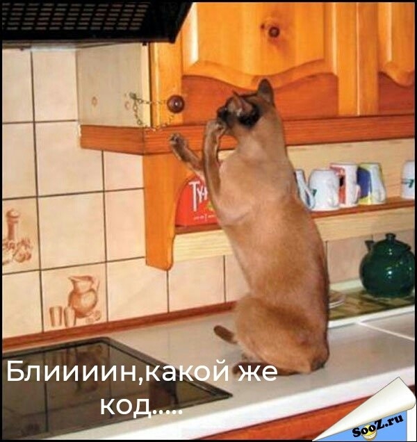 Блиииинк ко