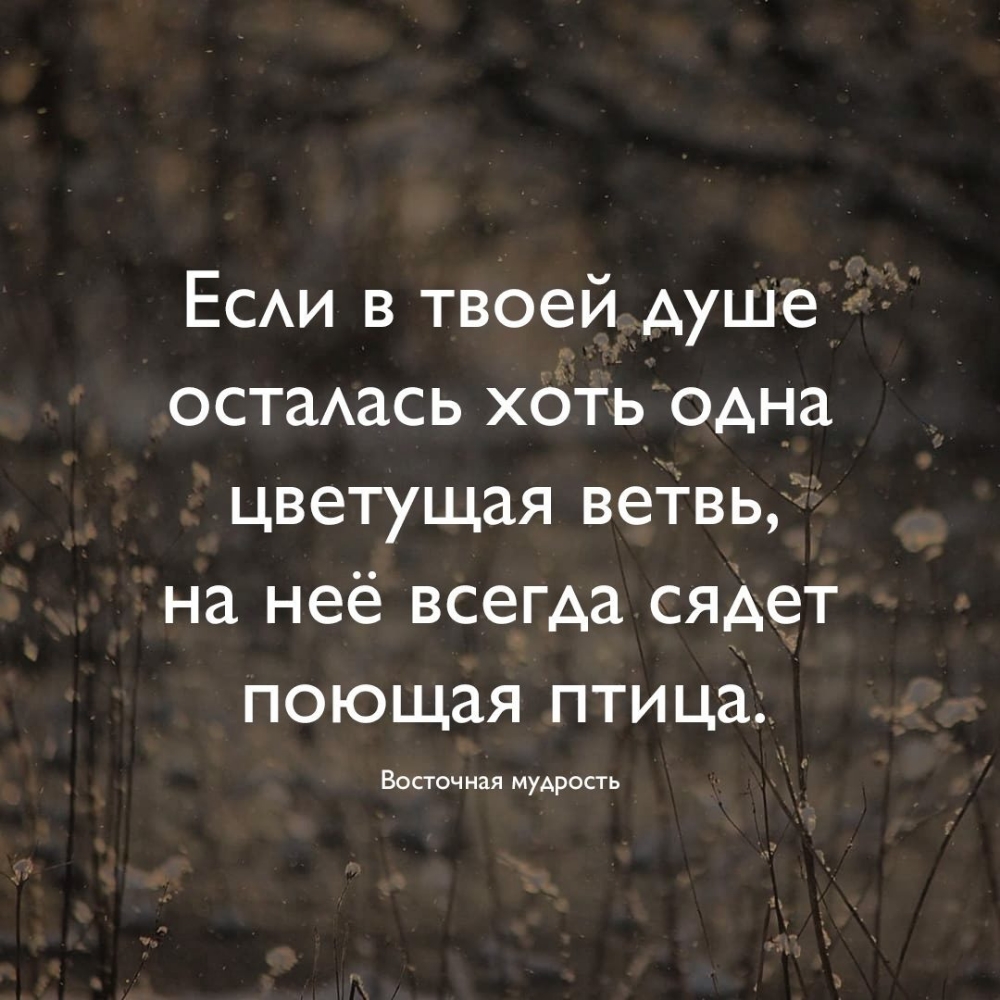 Есди в твоей душе остаась х0ть_ одна цветущая веТвь на неё всегда сядет поющая птица ВОСТОЧ ная МуАРОСТ Ь